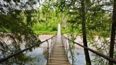 Man arrested after exposing himself to hikers at Lynn Canyon Park